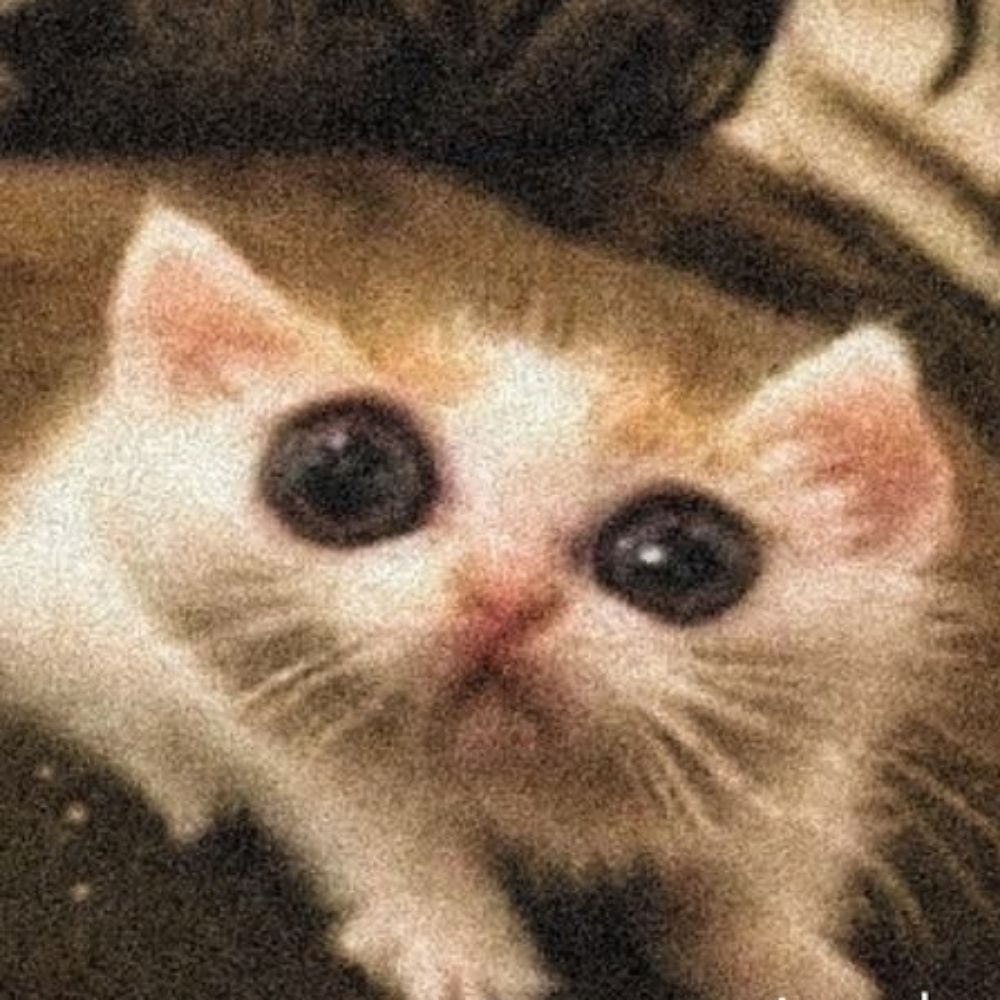 Lê 