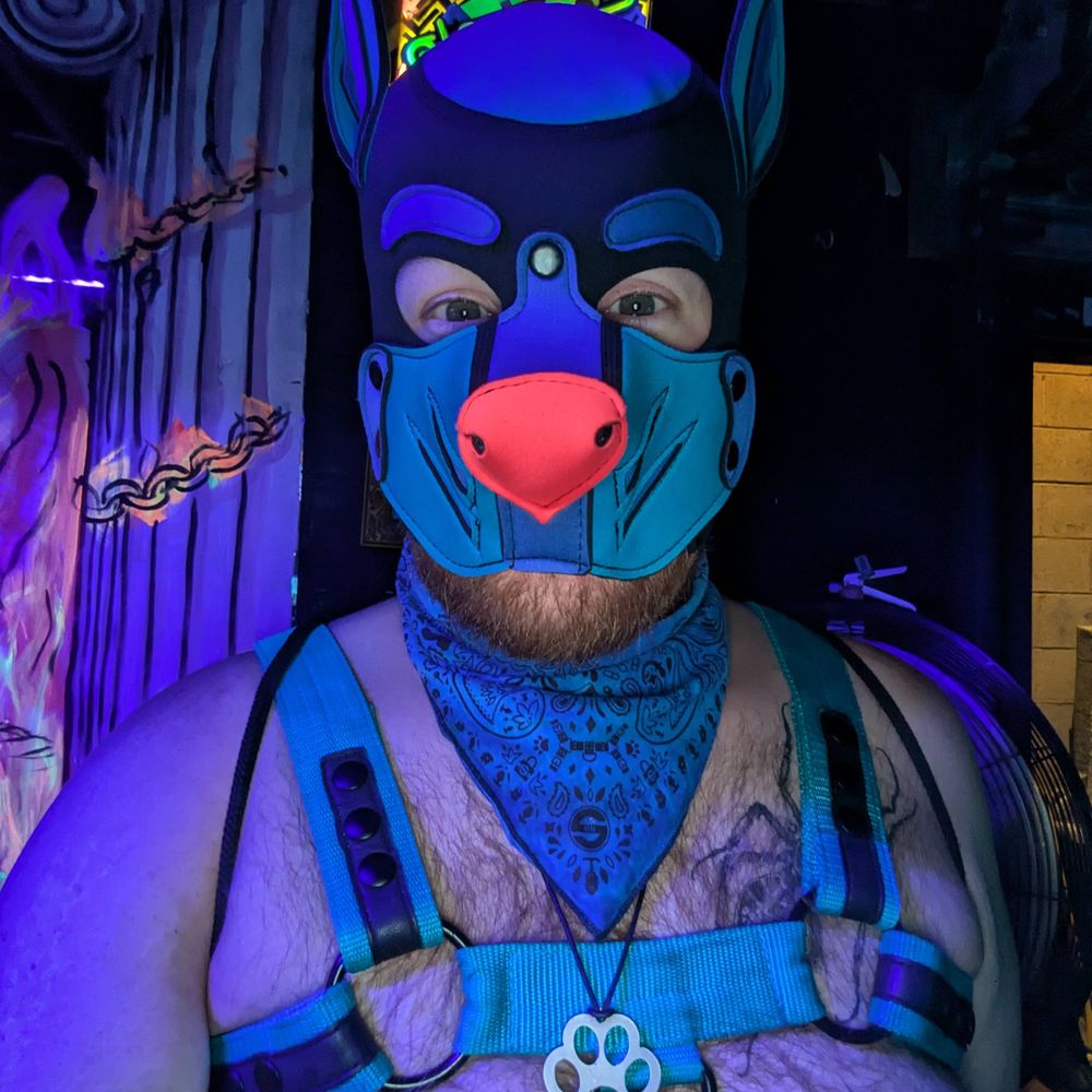 Pup Lunar 