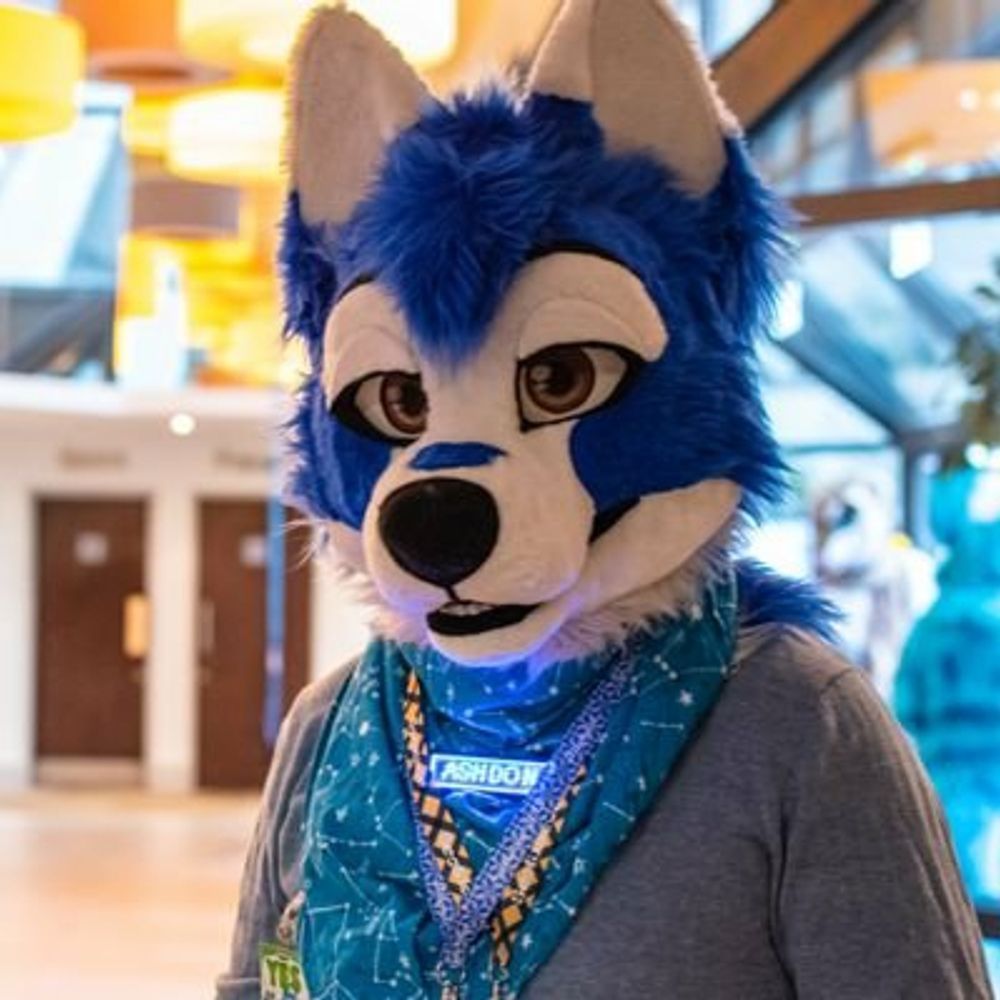 Ashdon Husky