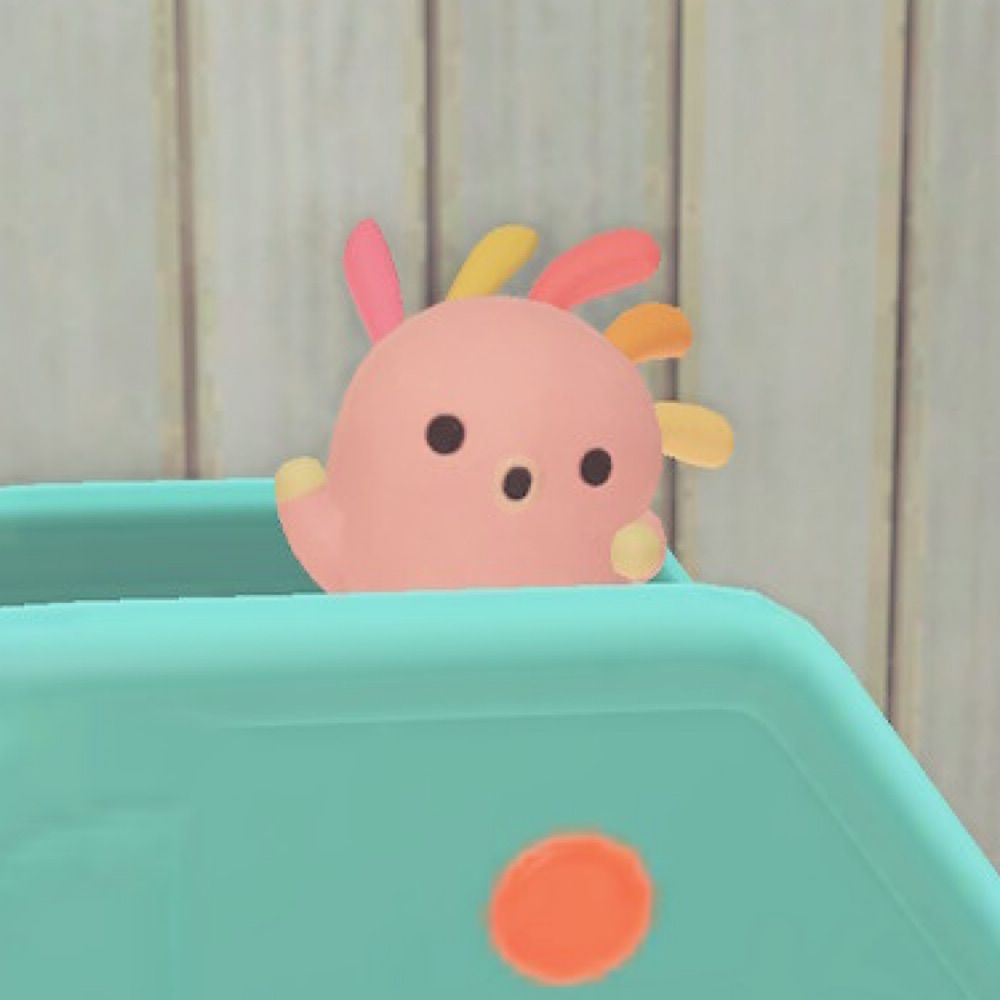 Aのめ