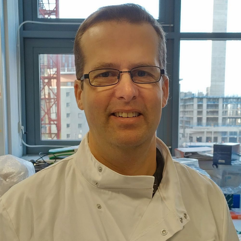 Steve White