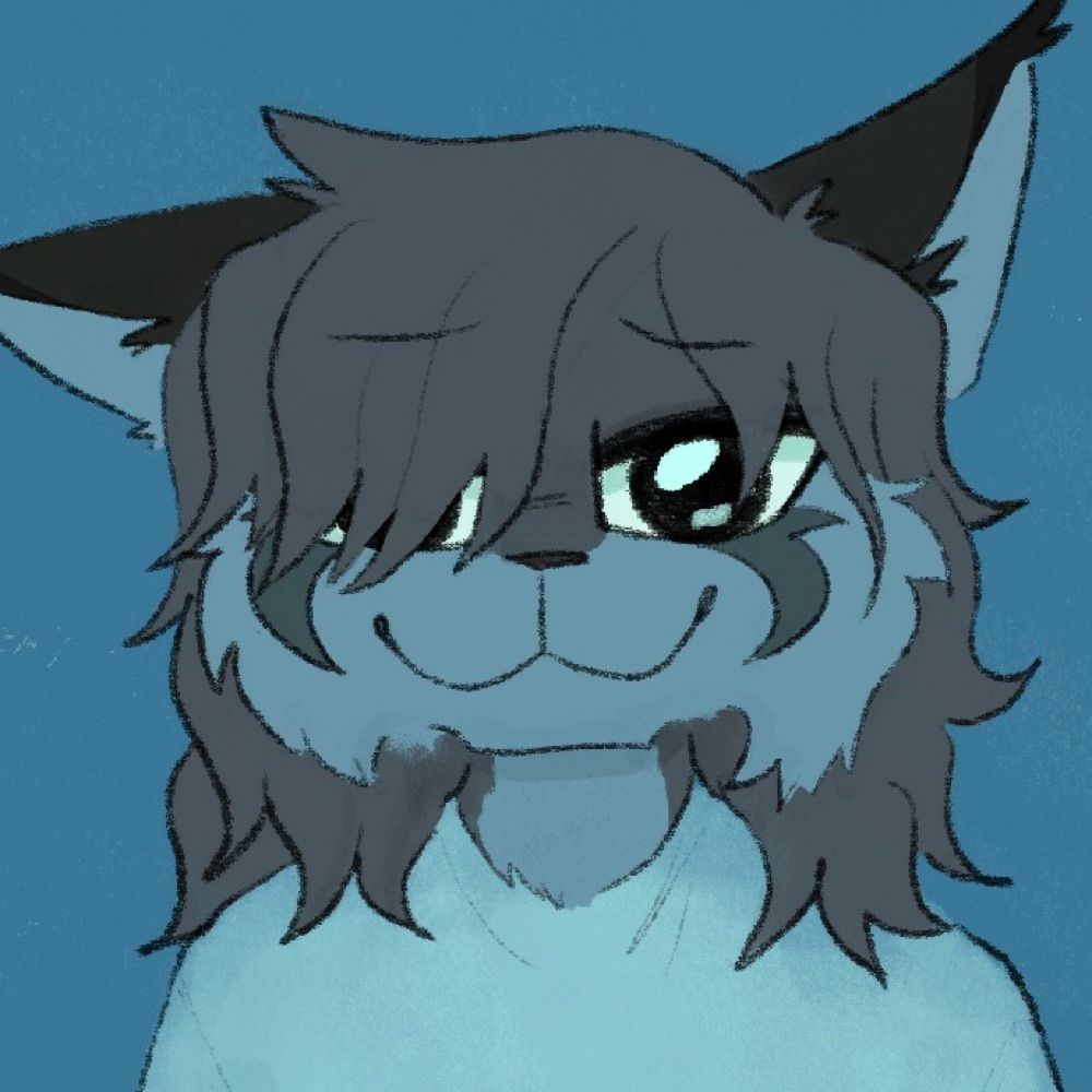 MeowMeat (Kedi)