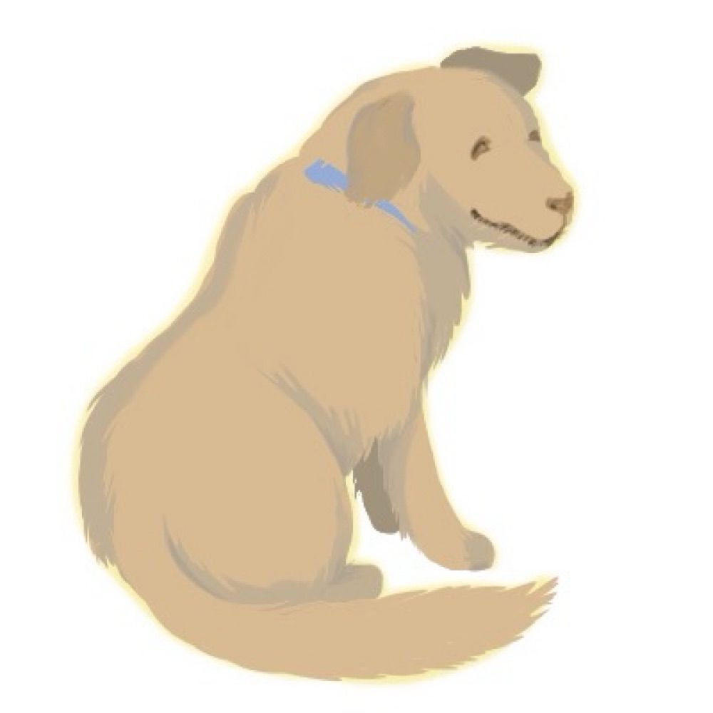 しっぽ