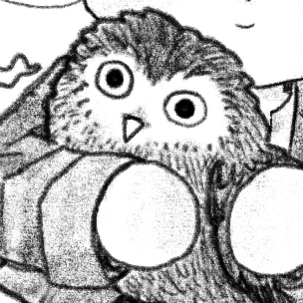 🦉
