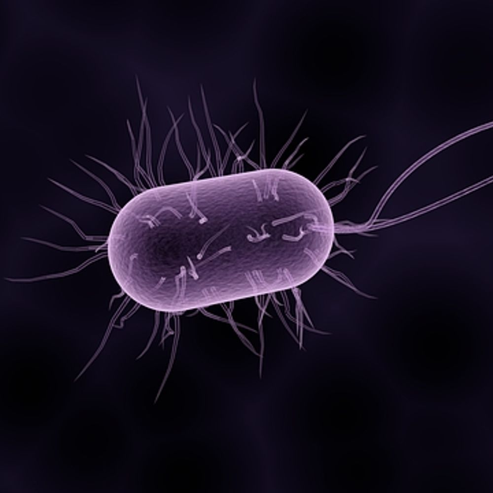 Lone Bacterium 🌻's avatar