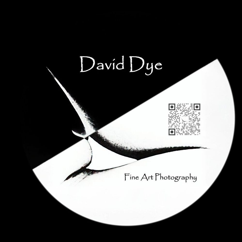 daviddyephotography