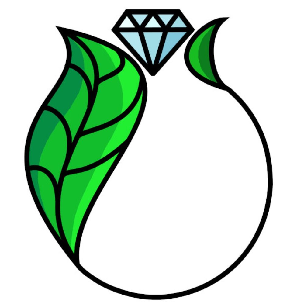 Lorem Ipsum Bijoux