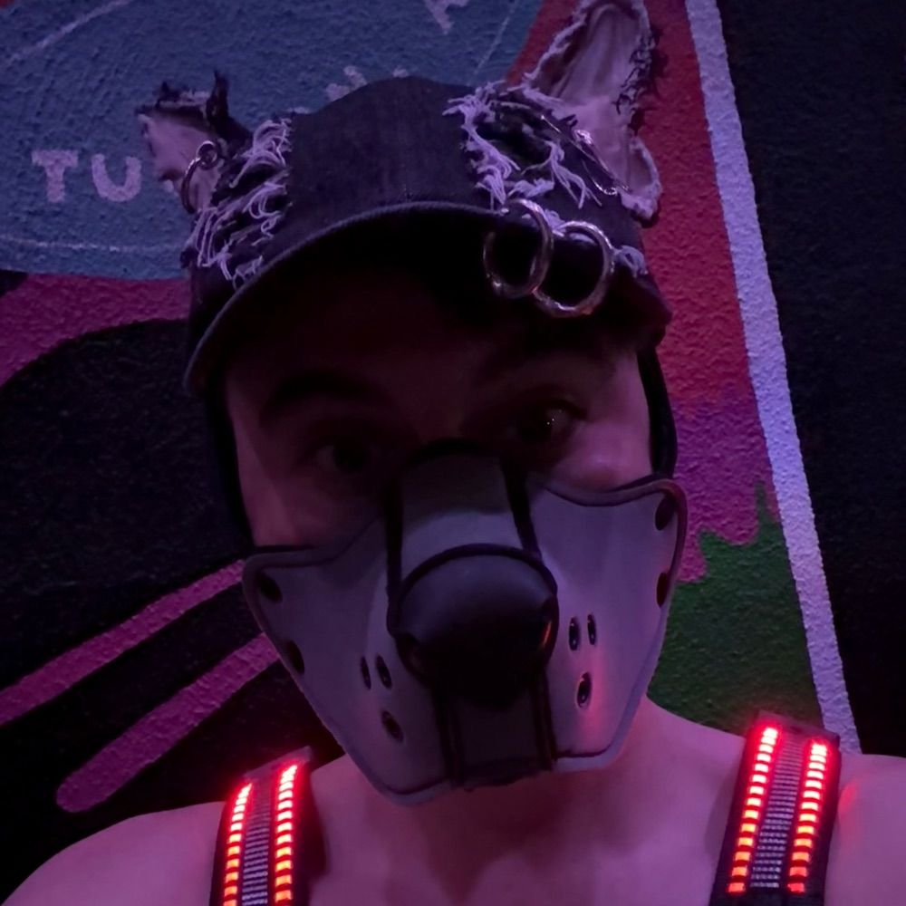 Pup Groover