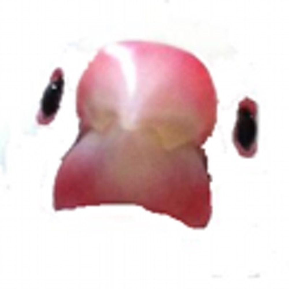merimo