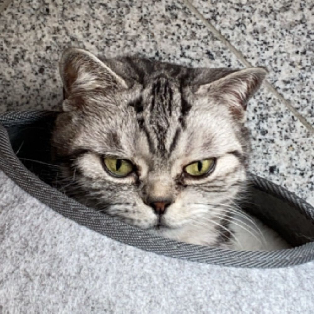Yoshii