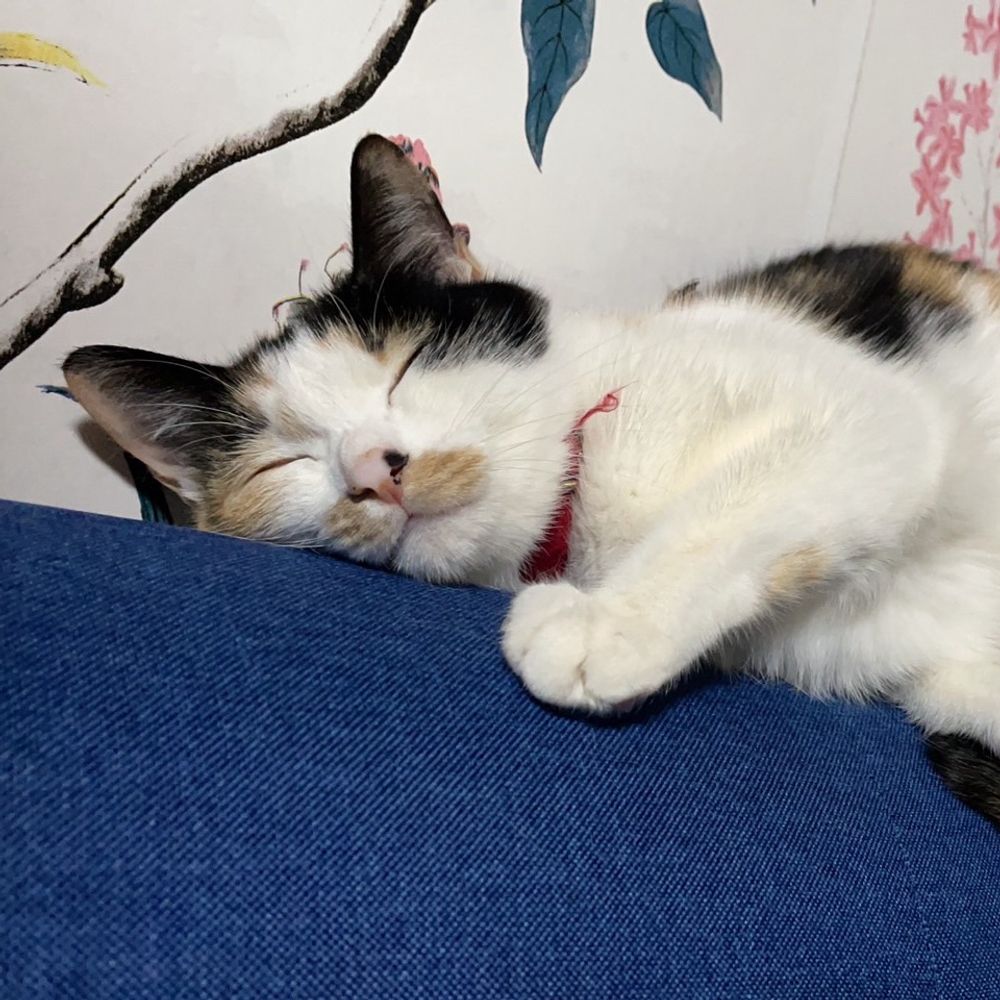 ハナ