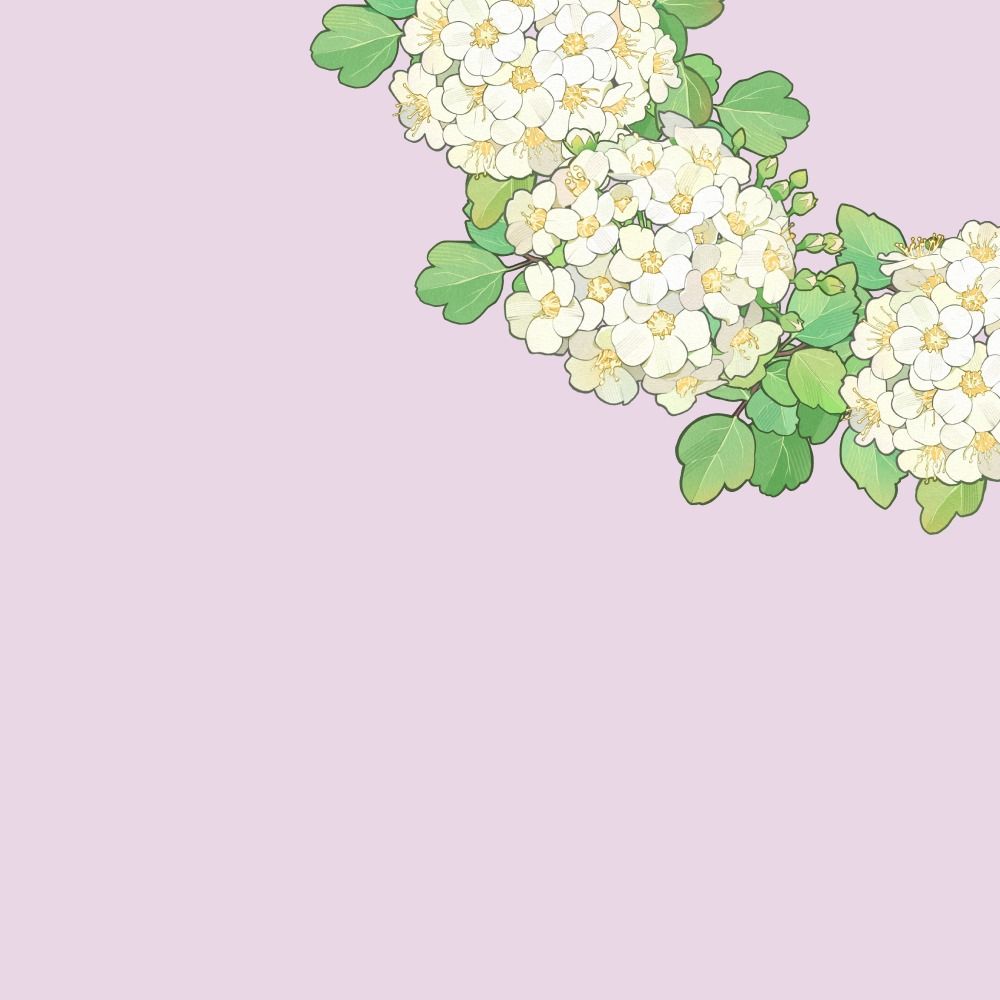 空木おむ