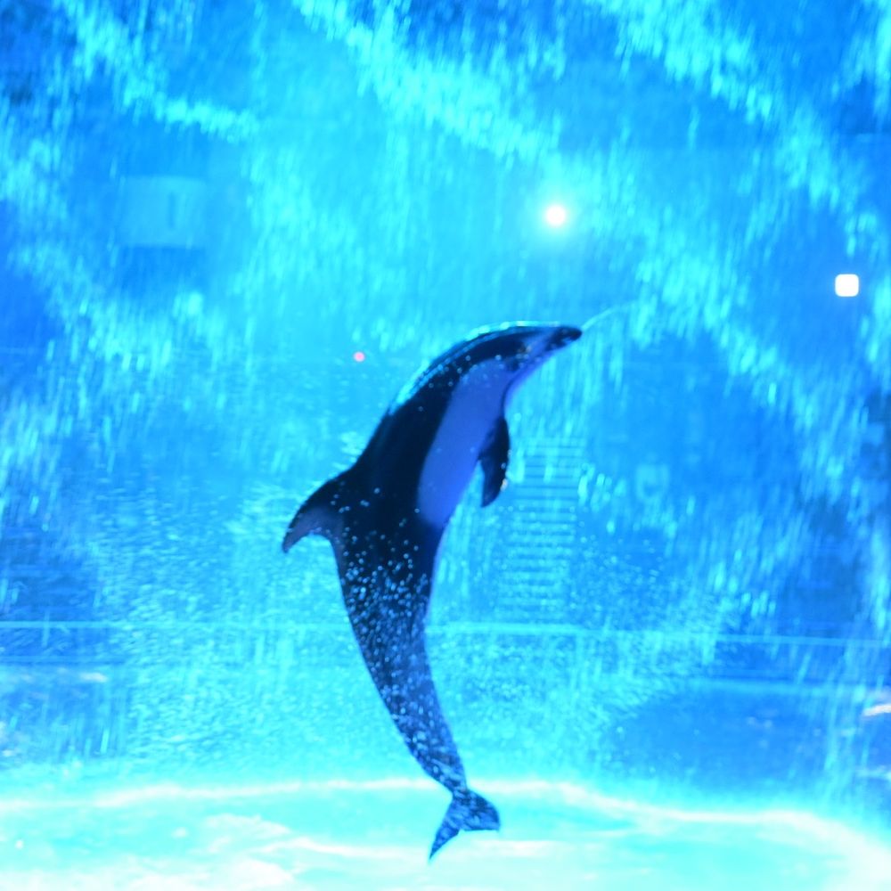 ウエキ