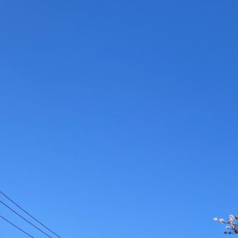 シアン
