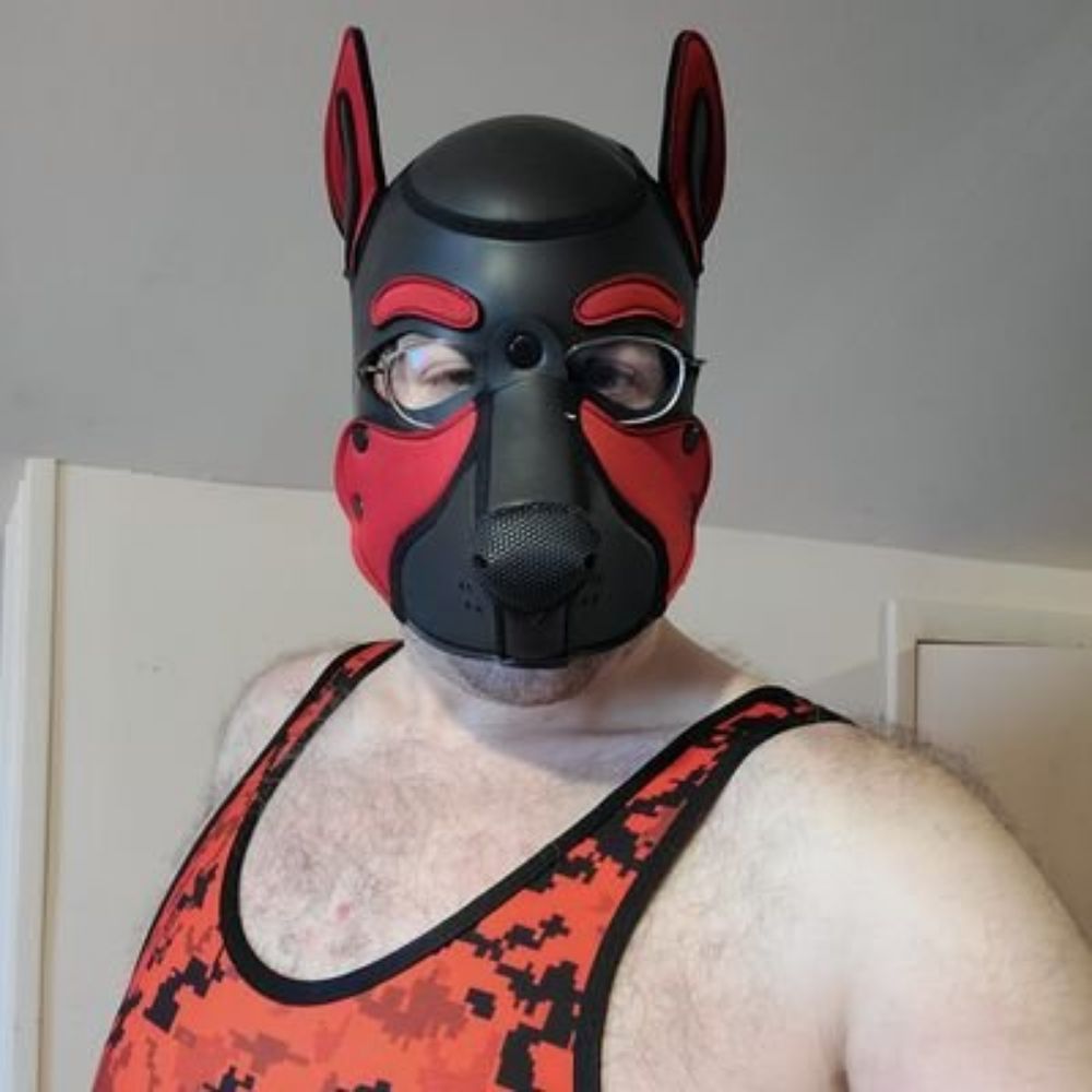Pup Bravo