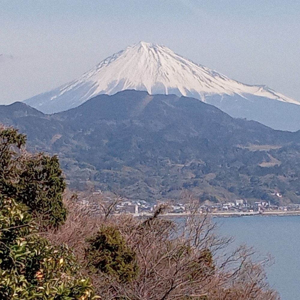 さすらい自由人