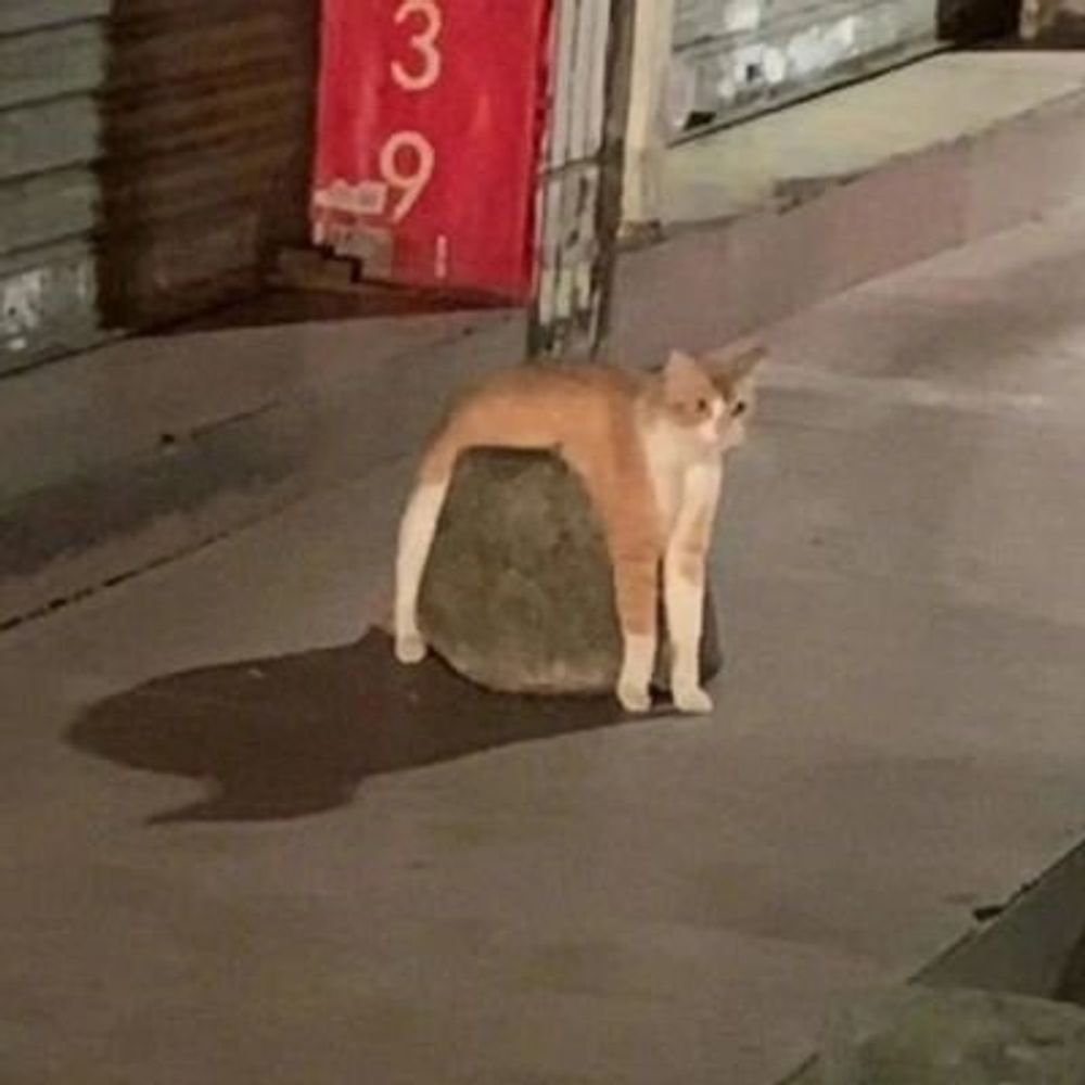 谷雨🥝𝔾𝕦𝕐𝕦
