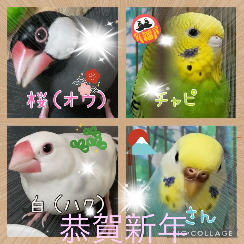 せきぶん静