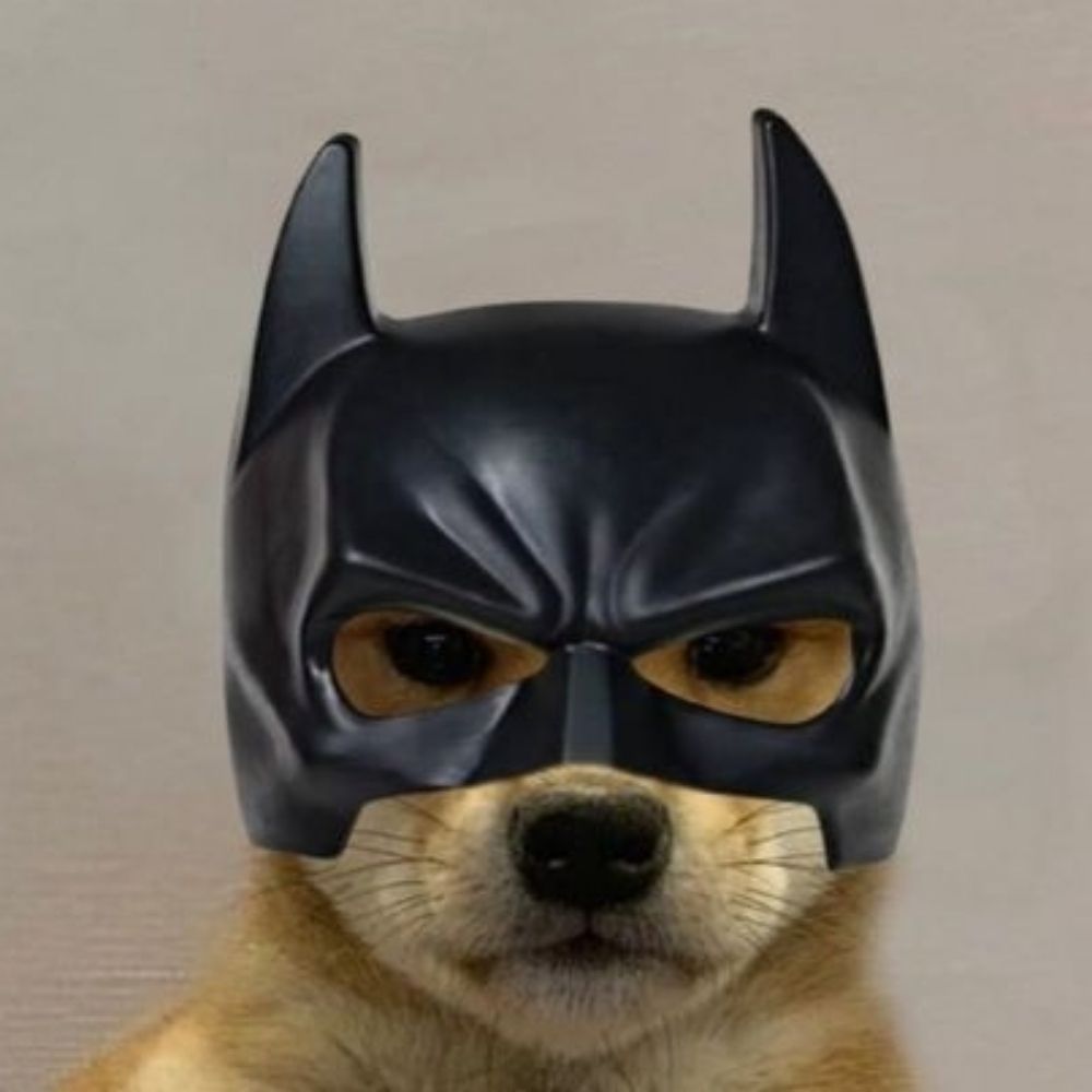 cachorros fazendo cachorrices