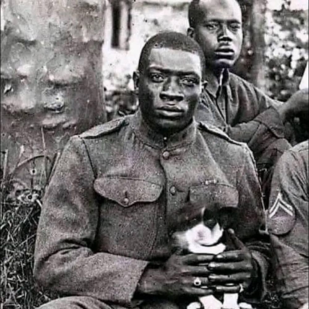 Jamil SOW