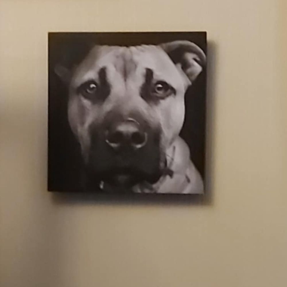 AngRiley