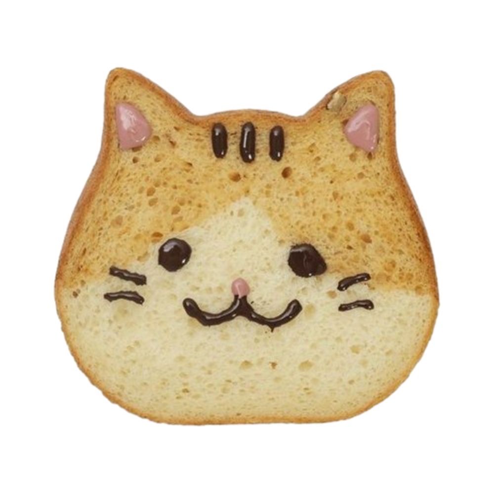 meowy (੭´͈ ᐜ `͈)੭♡