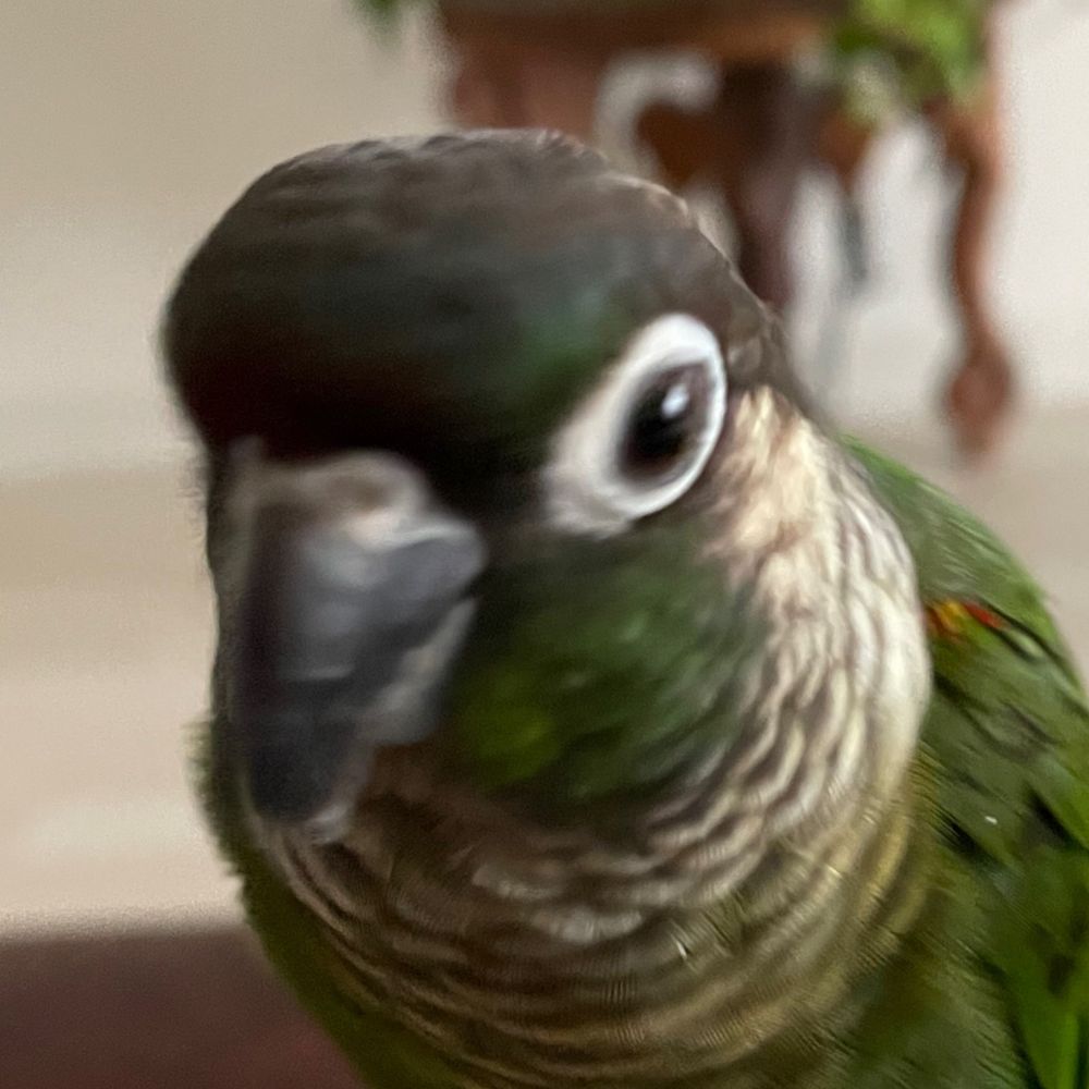 ozk