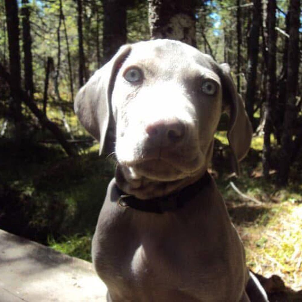 jacklfisher.bsky.social profile picture