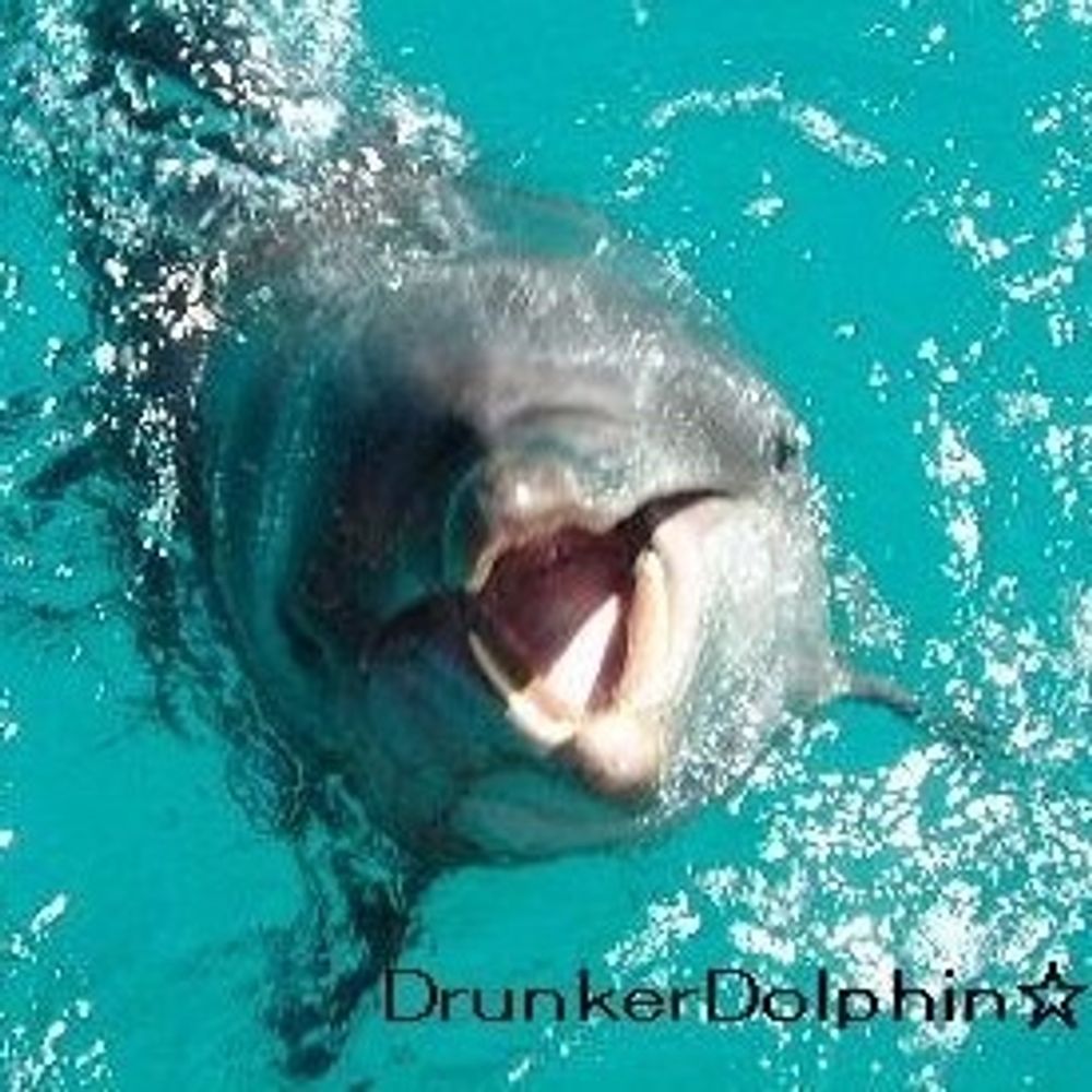DrunkerDolphin☆🐬💦