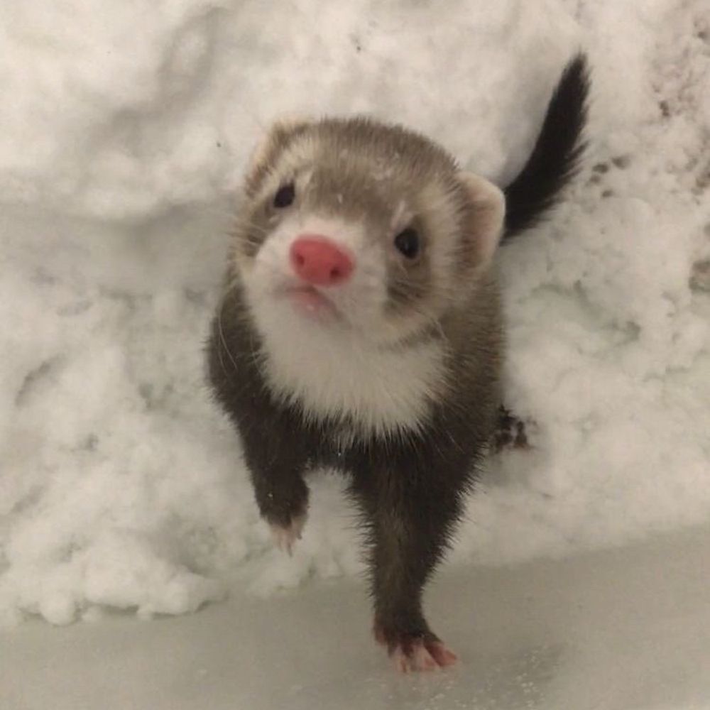 온선