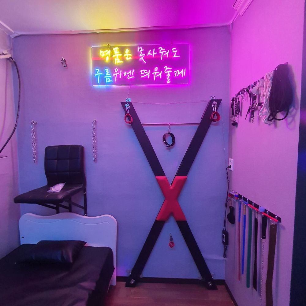 대구 노라쪼토이랜드 성인용품