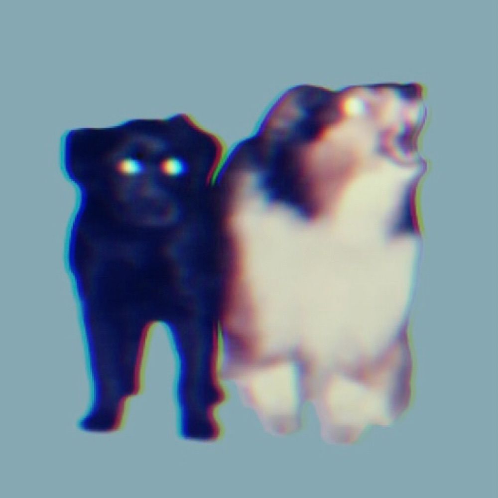 ス