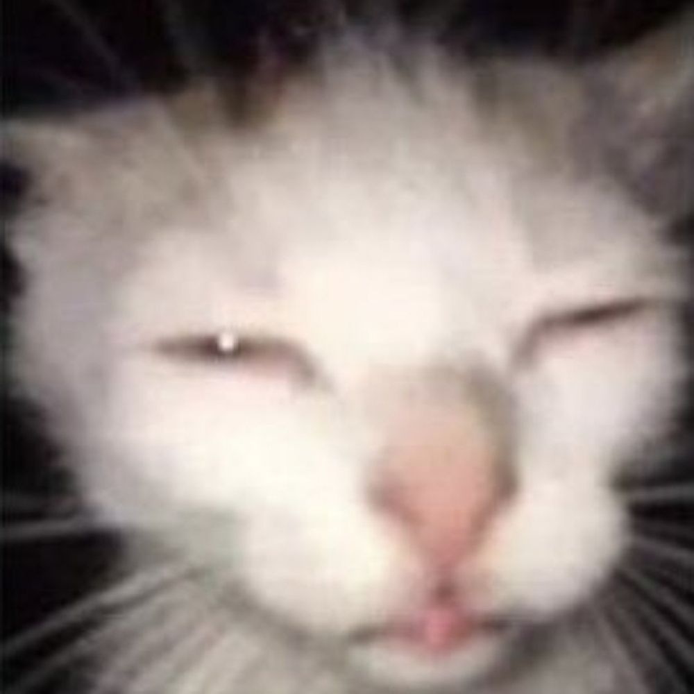 sue