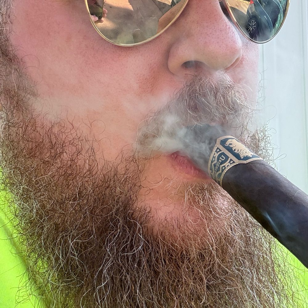 BearBellyDipper
