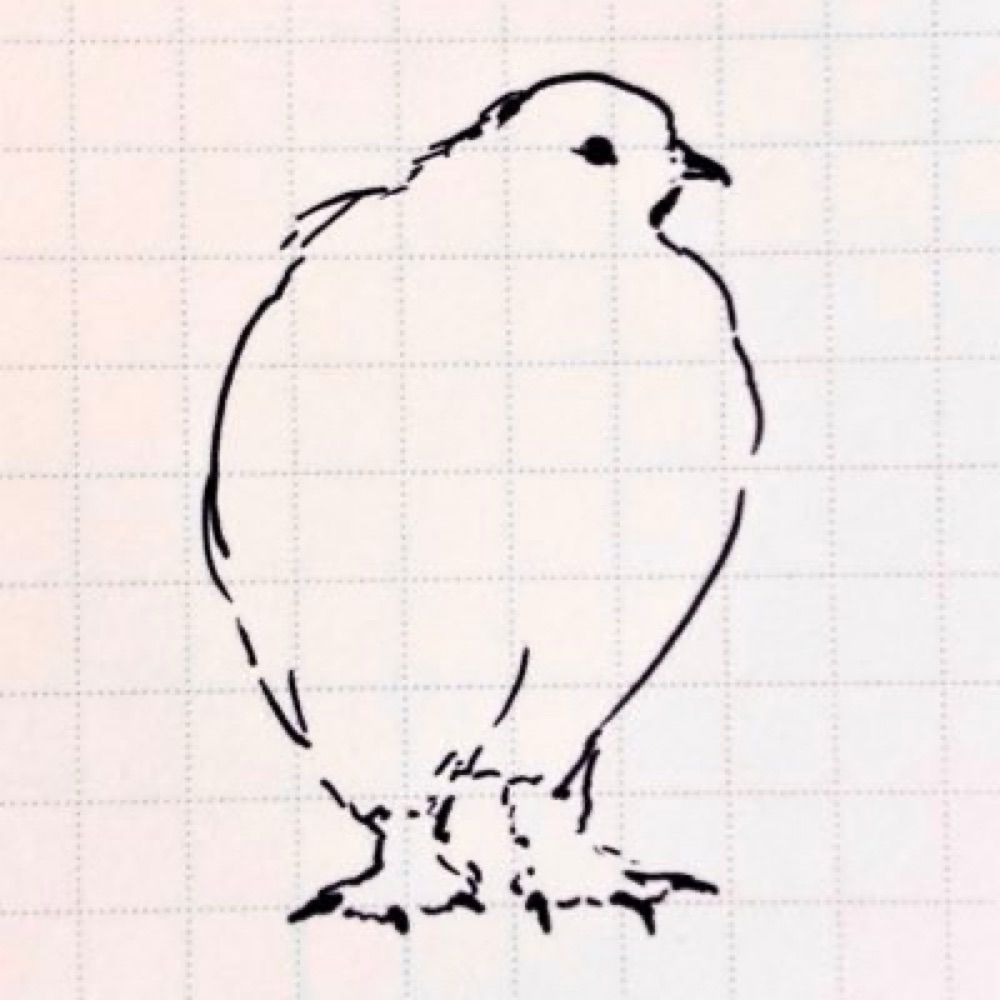 むこた