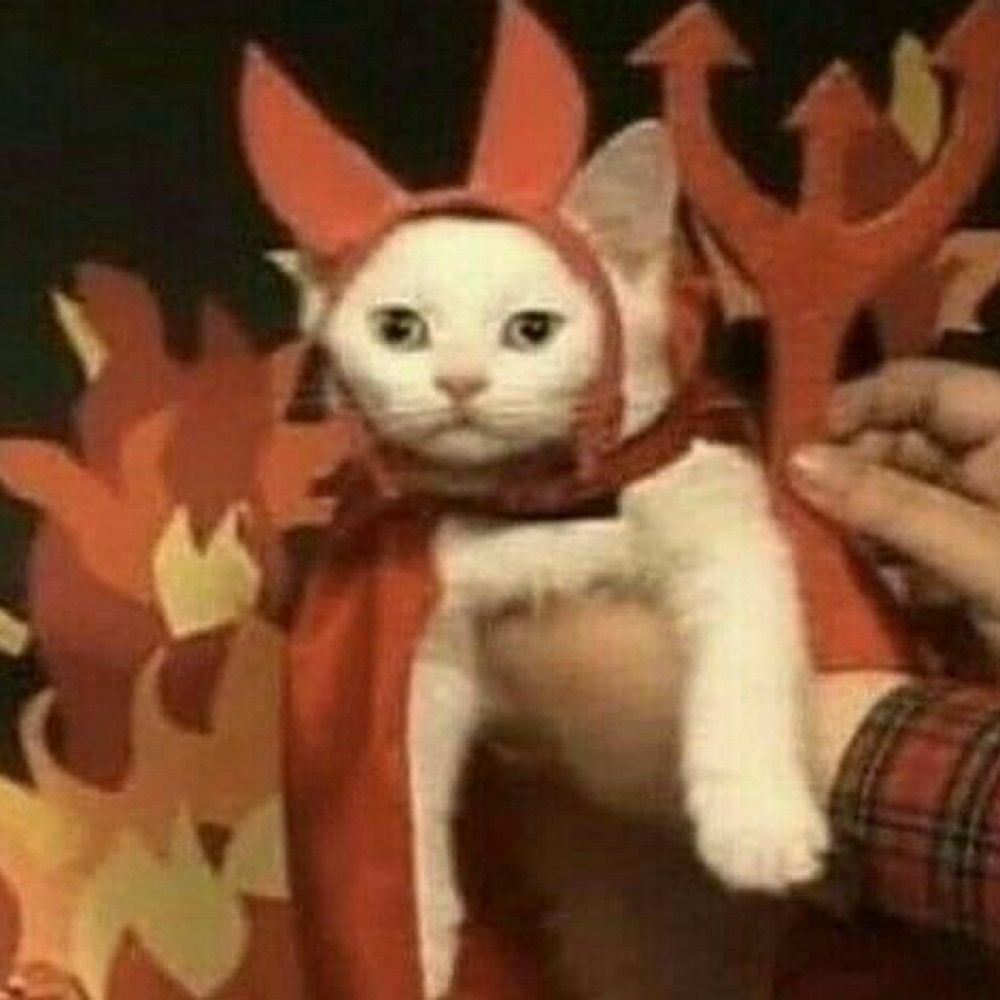 Gatão diabão
