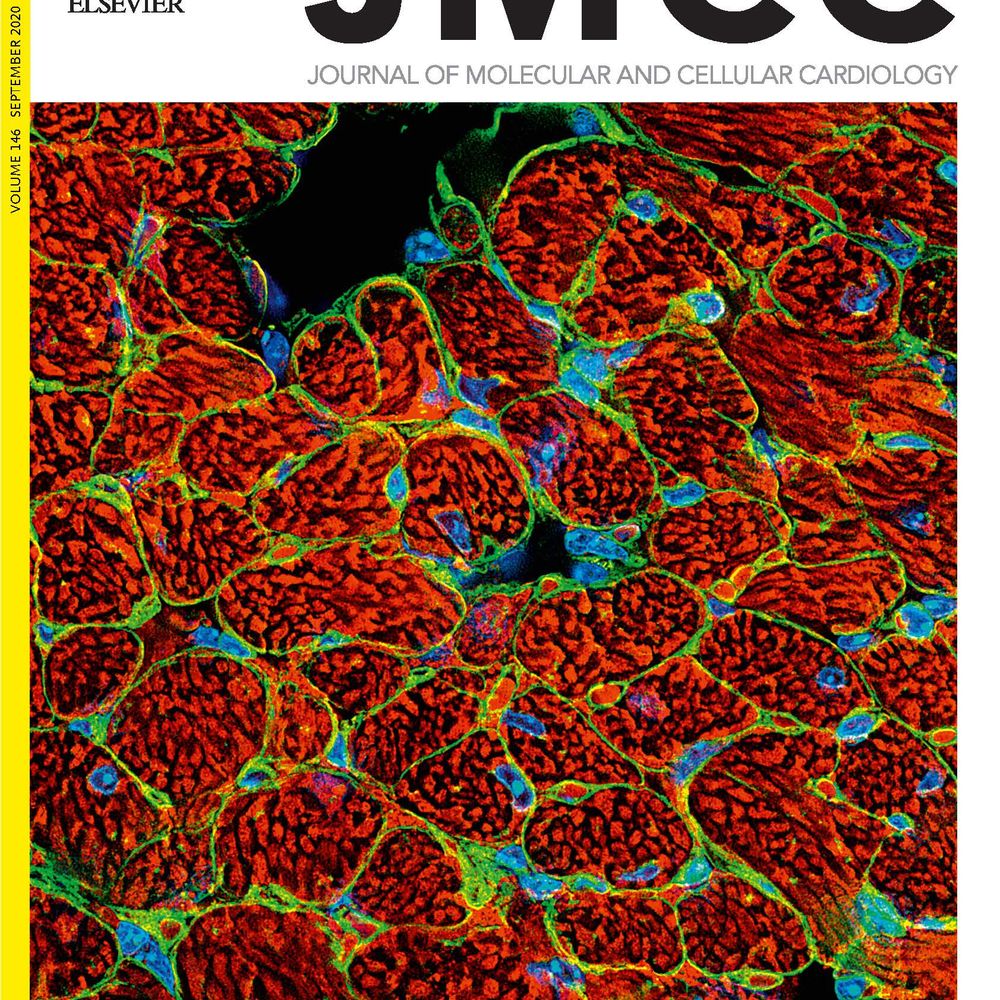 Journal of Molecular and Cellular Cardiology