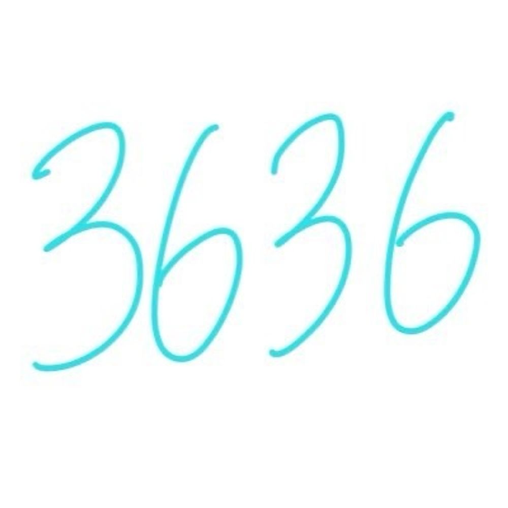 3636