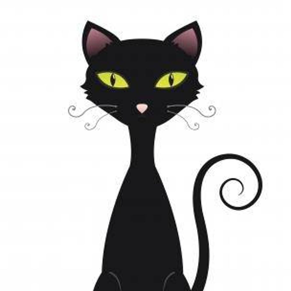 Biatchkitty