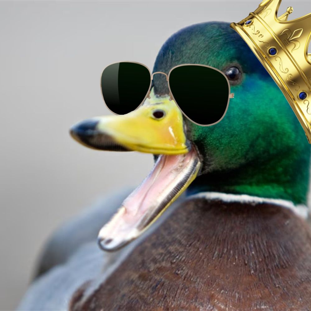 AlgenTheDuckShivei