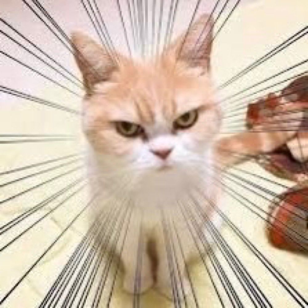P 🟪e⬜️g🟩g🐱y