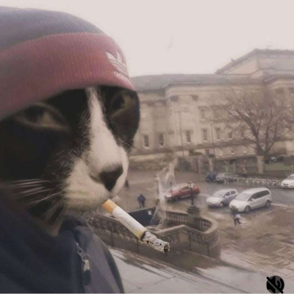 papadefuzz