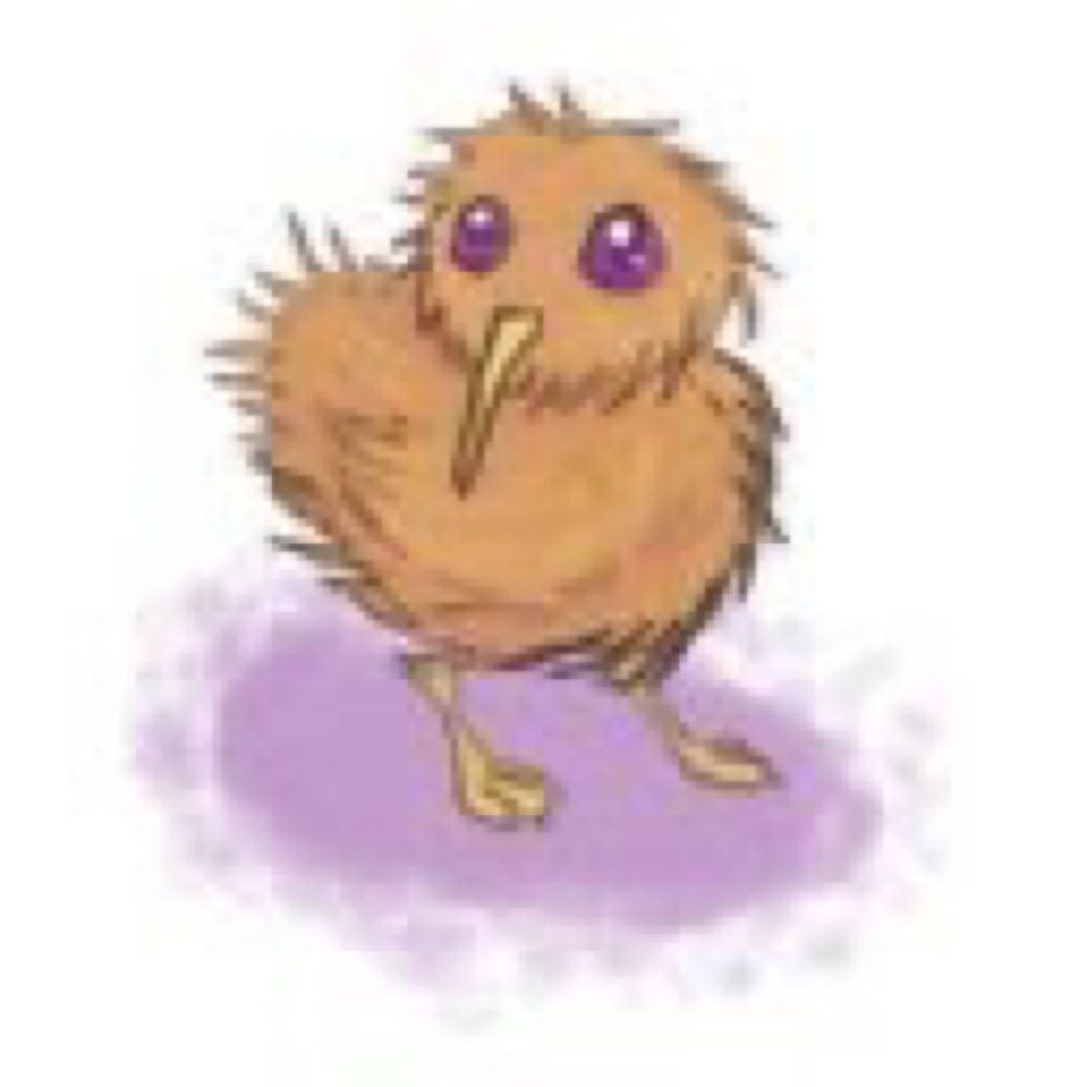 Kiwi 🥝