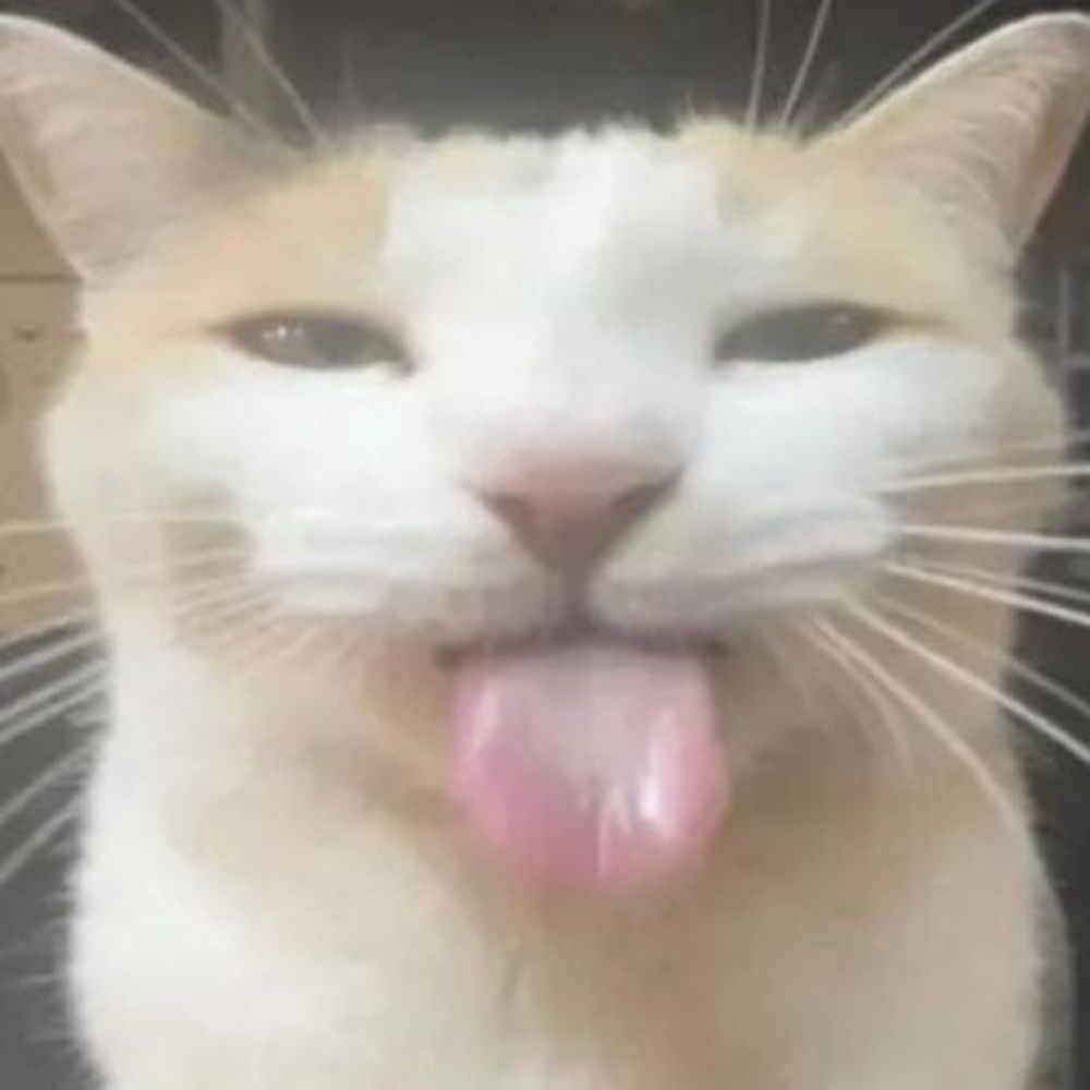 danalyzed