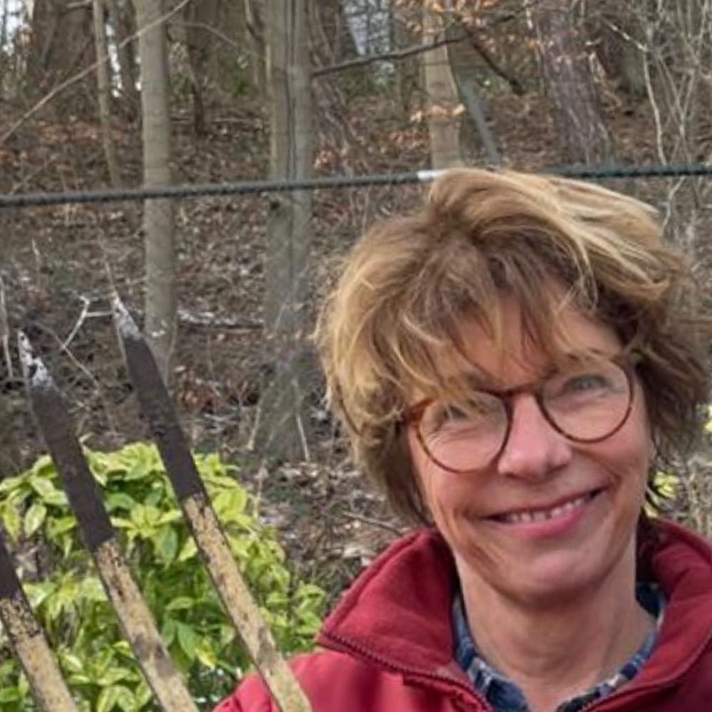 Rineke van Houten