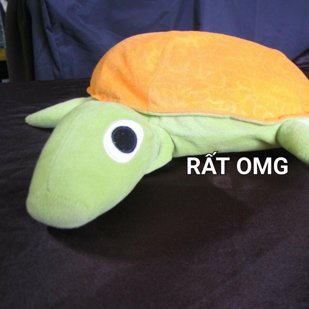 Cá có chân