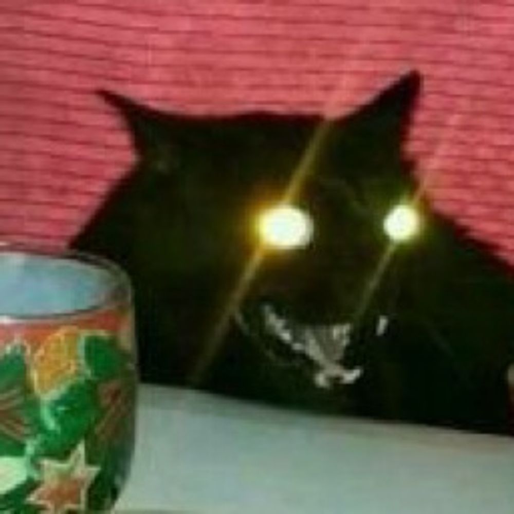 𝒍𝒐𝒐𝒌