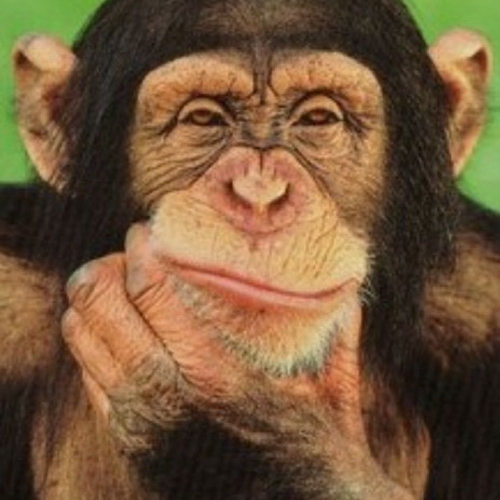Miquel Rovira