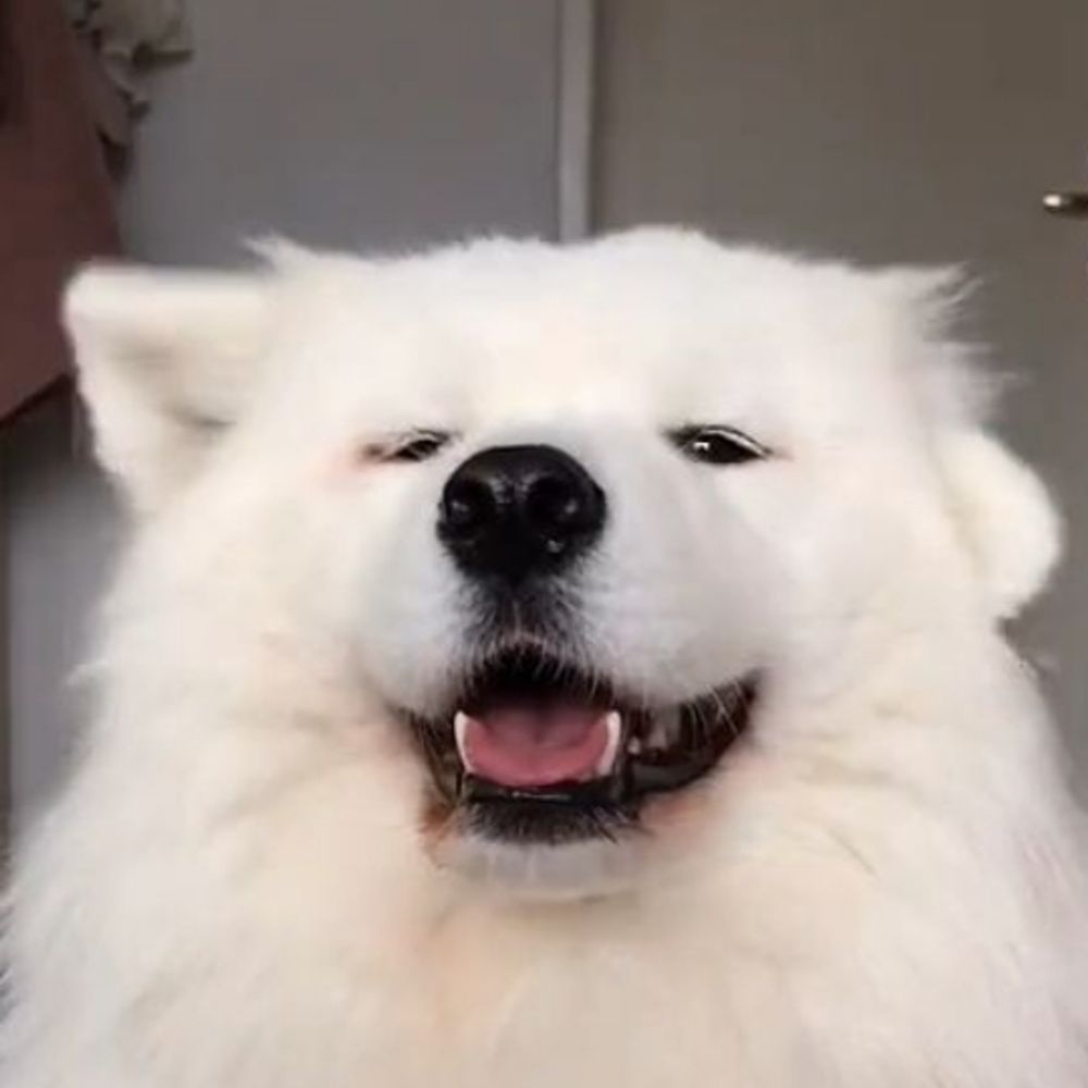  mantoumantou