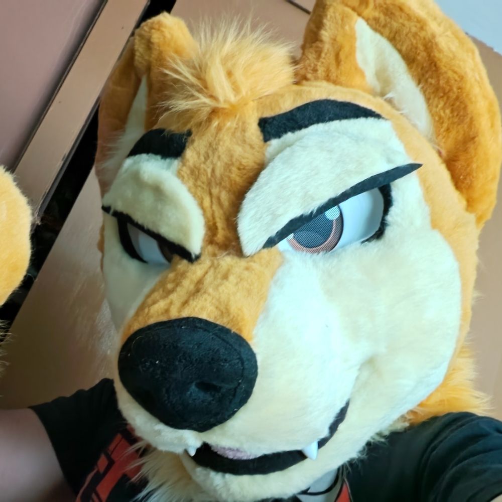 Shako - AJ wulf